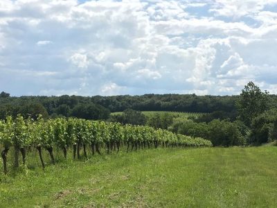 Aire-de-camping-car-du-Chateau-Les-Maubats_33139