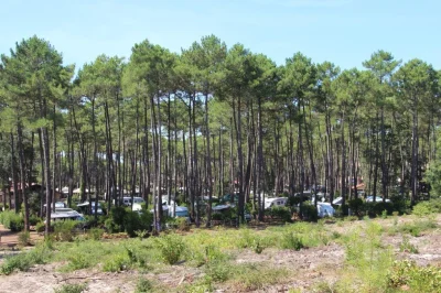 Aire-de-camping-cars-du-Cap-de-l039Homy-8211-Lit-et-Mixe_1976428