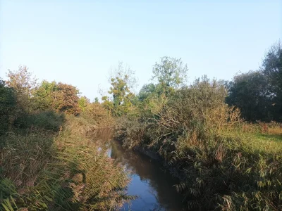 Aire-de-jeux-8211-Parc-du-chant-des-oiseaux-8211-Courseulles-sur-Mer_1764483