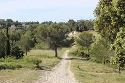 Aire-de-pique-nique-au-Vallon-de-la-Roquette_732783