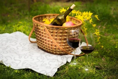 Aire-de-pique-nique-de-Beauchamps-sur-Huillard-8211-Beauchamps-sur-Huillard_2508019