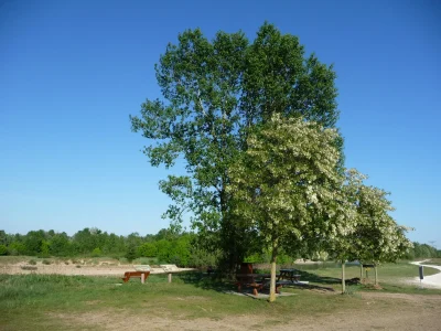 Aire-de-pique-nique-de-Maimbray-8211-Beaulieu-sur-Loire_2386203