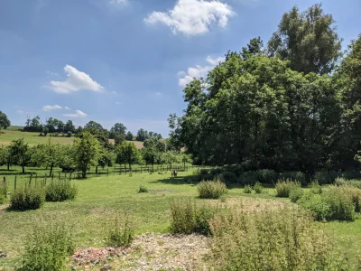 Aire-de-pique-nique-de-Saint-Deniscourt-8211-Saint-Deniscourt_2834832