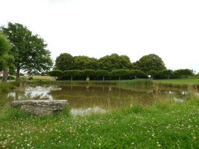 Aire-de-pique-nique-de-Saint-Firmin-des-Bois-8211-Saint-Firmin-des-Bois_2432310