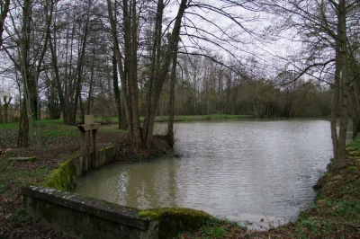 Aire-de-pique-nique-de-l039etang-de-Jobert-8211-Quiers-sur-Bezonde_2368508