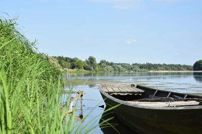 Aire-de-pique-nique-des-bords-de-Loire-a-Ousson-sur-Loire-8211-Ousson-sur-Loire_2365618