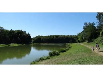 Aire-de-pique-nique-du-Domaine-departemental-Volny-Favory_1134008