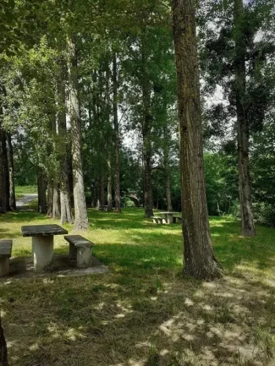 Aire-de-pique-nique-du-Nuejouls-8211-Fayet_2260280