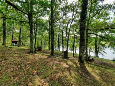 Aire-de-pique-nique-du-Tolerme-8211-cote-plage_31820
