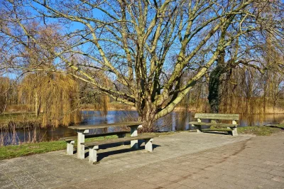 Aire-de-pique-nique-du-parc-de-loisirs-de-Marmagne-8211-Marmagne_3521489