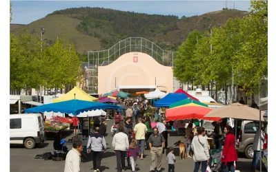 Aire-de-stationnement-de-camping-cars-8211-Mauleon-Licharre_2889020