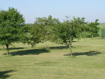 Aire-naturelle-de-camping-8211-Bures_3233901