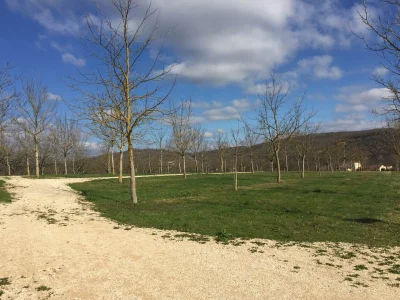 Aire-pour-camping-car-quotLa-Ferme-de-Grezeladequot-8211-Lanzac_2473390