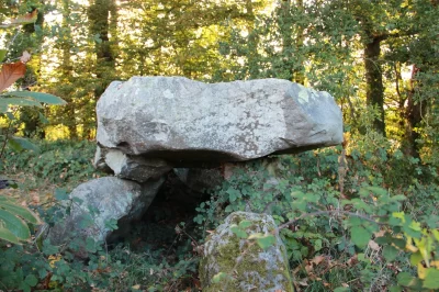 Allee-Couverte-du-Bois-du-Rocher_565529