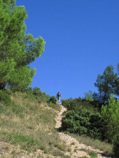 Alpilles-Mouries-8211-Les-caisses-de-Jean-Jean_25357