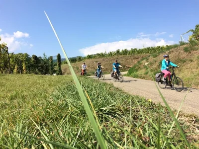 Alsa-Cyclo-Tours-8211-L039Alsace-grandeur-nature-8211-Kaysersberg-Vignoble_2369314