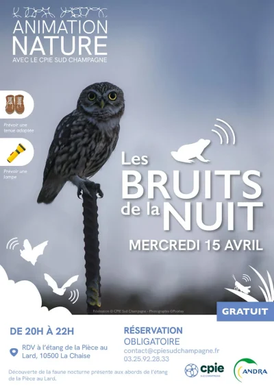 Animation-Nature-quotLes-bruits-de-la-nuitquot-8211-La-Chaise_3642960