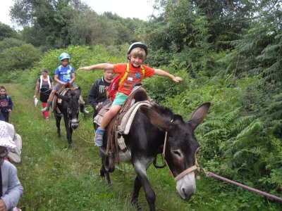 Animation-famille-a-la-ferme-Bibane-8211-22-10-2025-8211-Meracq_3165398