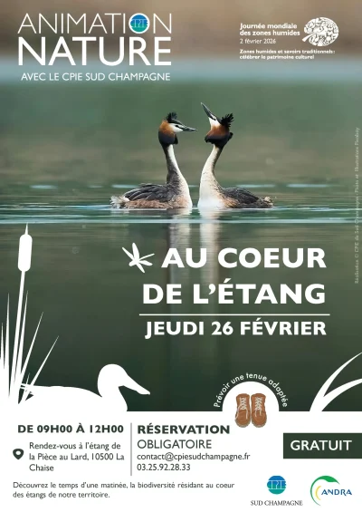 Animation-nature-Au-coeur-de-l039etang-8211-La-Chaise_3433329