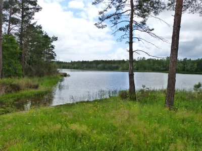 Animation-nature-au-grand-etang-de-la-Jemaye-8211-Initiation-au-pistage-8211-12-08-2025-8211-La-Jemaye-Ponteyraud_2670807