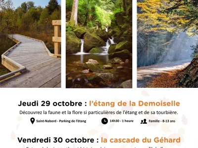 Animation-nature-l039etang-de-la-demoiselle-8211-29-10-2026-8211-Saint-Nabord_3844735