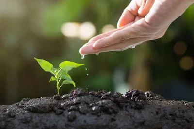 Animation-nature-quotAdapter-son-jardin-aux-changements-climatiquesquot-a-Beauvoir-sur-Niort-8211-11-10-2025-8211-Beauvoir-sur-Niort_3143294
