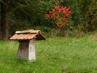 Animations-abeilles-8211-11-04-2026-8211-La-Roche-l039Abeille_3485098