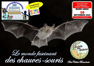 Aperitif-conference-quotLe-monde-fascinant-des-chauves-sourisquot-8211-16-09-2025-8211-Senonches_2835717