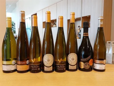 Apero039Dago-soiree-Chilienne-8211-20-03-2026-8211-Traenheim_3489722