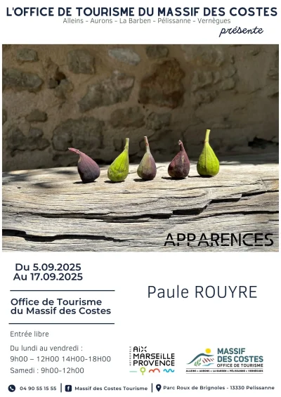 Apparences-8211-exposition-de-peintures-et-photographies-de-Paule-Rouyre-8211-05-09-2025-8211-Pelissanne_3041449