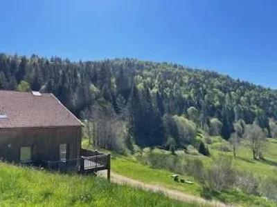 Appartement-6-personnes-O-feignes-8211-Esprit-montagne-et-lumiere-8211-La-Bresse_3289737