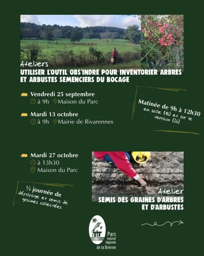 Apprendre-a-utiliser-loutil-ObsIndre-pour-inventorier-des-arbres-et-arbustes-semenciers-du-bocage-recolte-de-leurs-graines-8211-Rivarennes_3877364
