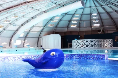 Aqua-Bazelle-8211-Chabris_1739789