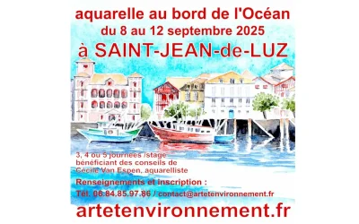 Aquarelle-stage-au-bord-de-l039Ocean-a-Saint-Jean-de-Luz-8211-08-09-2025-8211-Saint-Jean-de-Luz_2979989