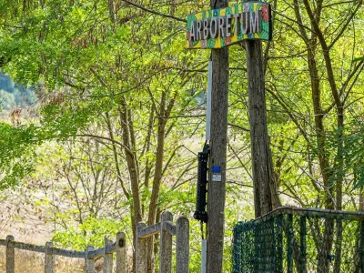 Arboretum-8211-Flavigny-sur-Moselle_3866400