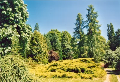 Arboretum-National-des-Barres_442656