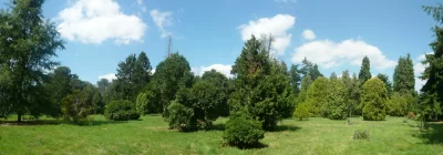 Arboretum-de-Versailles-8211-Chevreloup_345080