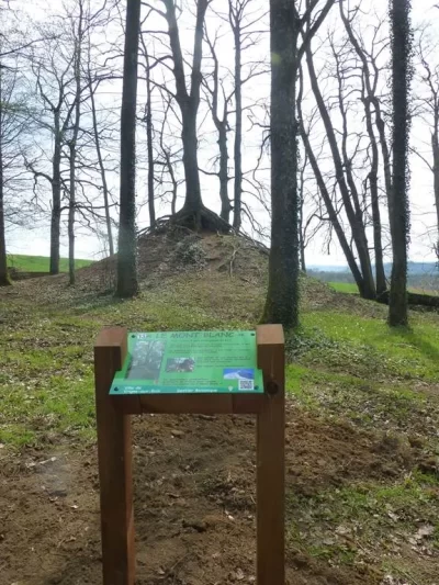 Arboretum-de-Vrigne-Aux-Bois_567350