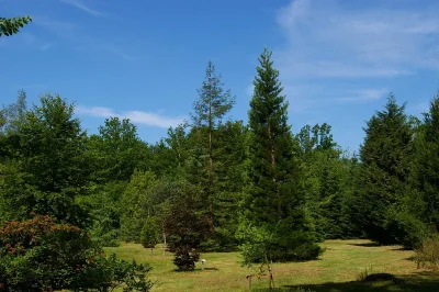 Arboretum-de-la-Ferte-Vidame-8211-La-Ferte-Vidame_2386108