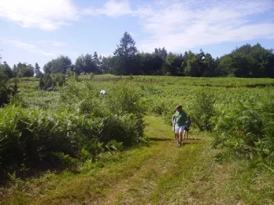 Arboretum-du-Massif-des-Agriers_551202
