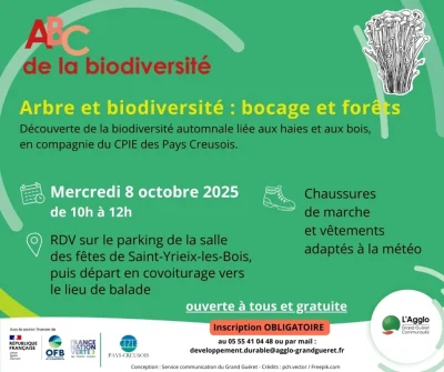 Arbre-et-biodiversite-8211-08-10-2025-8211-Saint-Yrieix-les-Bois_3167857