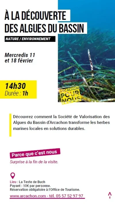 Arcachon-pour-nous-A-la-decouverte-des-algues-du-Bassin-8211-11-02-2026-8211-Arcachon_3344933
