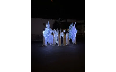 Arcangues-en-lumiere-8211-06-12-2025-8211-Arcangues_2911329