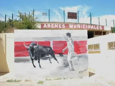 Arenes-Titi-Boncoeur_735877