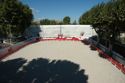 Arenes_714927