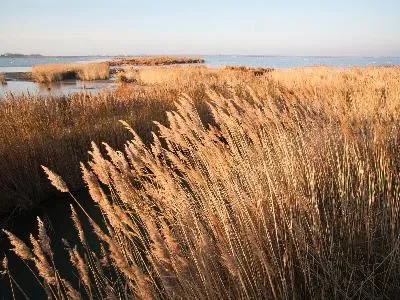 Arles-A-la-decouverte-de-l039Etang-de-Vaccares_723259