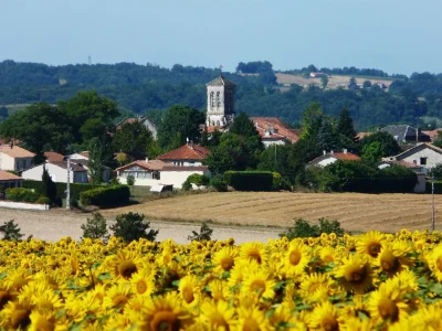 Arret-sur-Village-8211-ROSSIGNOL-8211-Gout-Rossignol_3722573