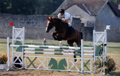 Association-Ladhuie-Cheval-Sport_1131952