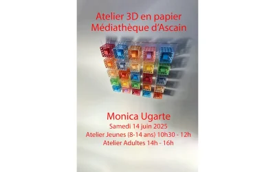 Atelier-3D-en-papier-8211-14-06-2025-8211-Ascain_2731579