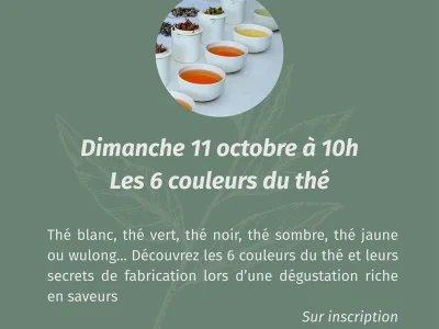 Atelier-8211-Les-6-couleurs-du-the-8211-Sarreguemines_3866265